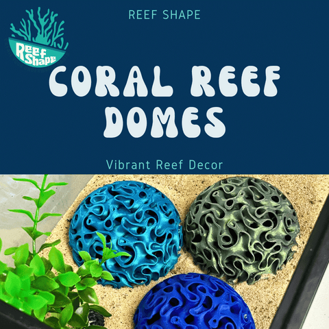 Aquarium Coral Reef Dome – Fish Shelter and Egg Laying Habitat | Made in USA Chatelet Manufacturing 