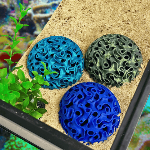 Aquarium Coral Reef Dome – Fish Shelter and Egg Laying Habitat | Made in USA Chatelet Manufacturing 