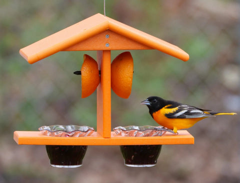 Double-Cup Oriole Bird Feeder – Durable Recycled Poly Lumber With Orange Pegs | Made in USA Amish Toy Box  Bird Feeder