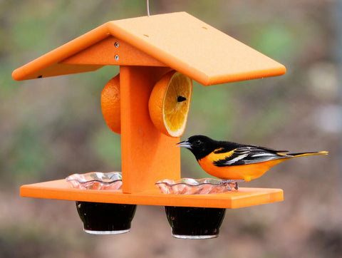 Double-Cup Oriole Bird Feeder – Durable Recycled Poly Lumber With Orange Pegs | Made in USA Amish Toy Box  Bird Feeder