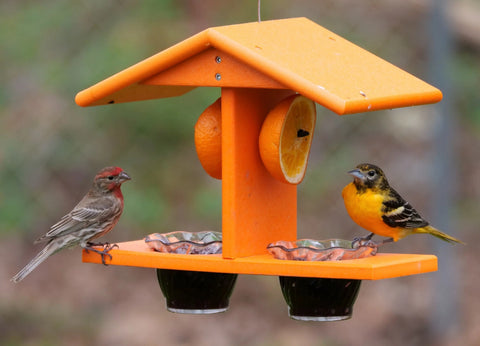 Double-Cup Oriole Bird Feeder – Durable Recycled Poly Lumber With Orange Pegs | Made in USA Amish Toy Box  Bird Feeder