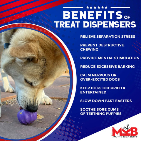 A dog plays outdoors with the purple SodaPup Cross Bones Chew Toy and Treat Pocket. Text highlights benefits like lowering stress, curbing chewing, mental stimulation, soothing teething puppies, and reducing barking. The Mutts Kick Butt logo is shown.