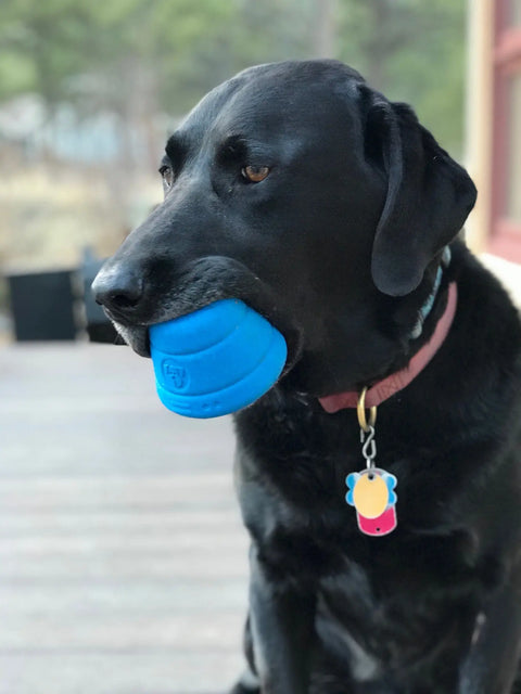 Durable Enrichment Feeder Dog Toy – Large Space Capsule Puppyprene Rubber Slow Feeder | Made in USA SodaPup  Rubber Dog Toys