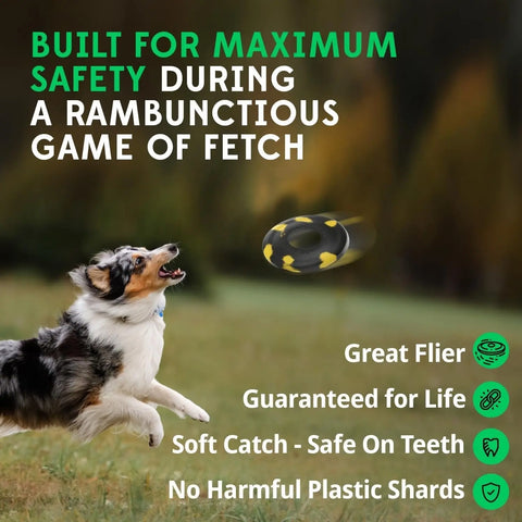 An Australian Shepherd leaps to catch the Goughnuts Flynut in a grassy field. The disc is safe, has a lifetime guarantee, is gentle on teeth, contains no harmful plastic shards—ideal as a fetch toy for medium dogs.