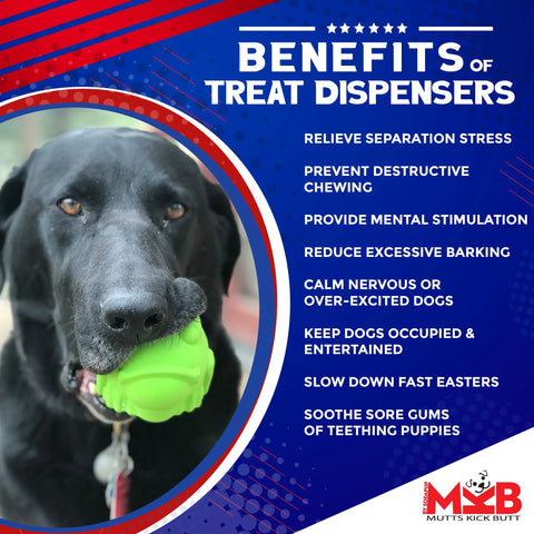 A black dog holds the SodaPup Bull Frog EDispenser Durable Rubber Chew Toy & Treat Dispenser - Large. Next to the dog, a list on a blue and red background highlights how treat dispensers can relieve stress and prevent destructive chewing.