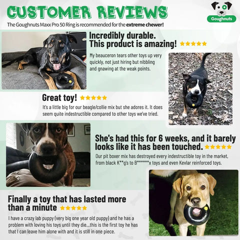 A promotional image features four dogs with the Goughnuts Large Rings (For Dogs 60-100 Pounds), highlighted by glowing customer reviews for durability, especially for strong chewers. Goughnuts branding is displayed at the top.