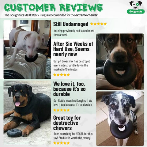 A collage of four dogs with Goughnuts Large Rings (for dogs 60-100 pounds), with positive customer reviews highlighting the ring’s durability and how well it holds up for strong chewers.