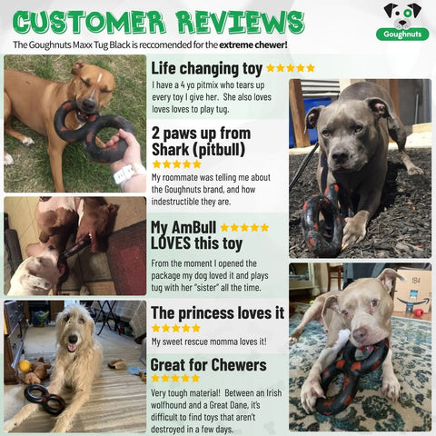A collage of five photos shows big dogs (60+ lbs) playing with the Goughnuts Large Tug. Each image features star ratings, customer praise for its toughness, and green graphics highlighting reviews for this durable dog toy.