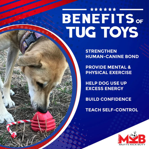 A power chewer dog enjoys the SodaPup Large Rubber Heart on a String Toy outdoors. Benefits: strengthens your bond, provides mental/physical exercise, uses up energy, builds confidence, and teaches self-control.