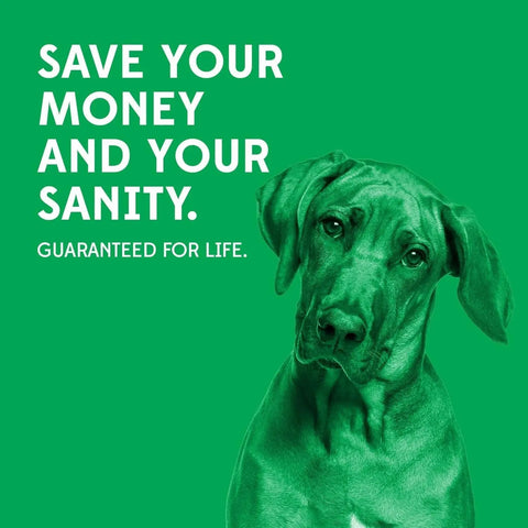 A green-tinted dog looks at the camera next to bold white text: Save your money and your sanity. Guaranteed for life. Features the Goughnuts Medium Stick—an indestructible toy for dogs 30–70 lbs. The background is solid green.