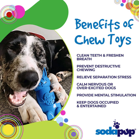 A black and white dog chews the blue Bunny EChew Durable Nylon Chew and Enrichment Toy by SodaPup. Text highlights benefits: cleans teeth, prevents destructive chewing, relieves stress, calms, stimulates mentally, and keeps dogs entertained.