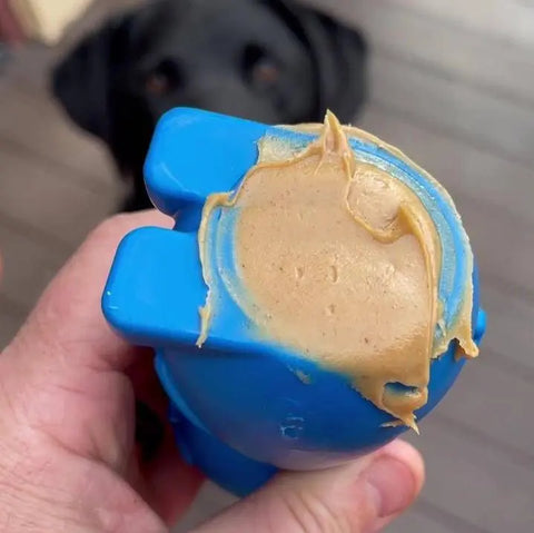 A hand holds the SodaPup Bunny EChew Durable Nylon Chew and Enrichment Toy smeared with peanut butter, while a black dog waits eagerly in the blurred background.