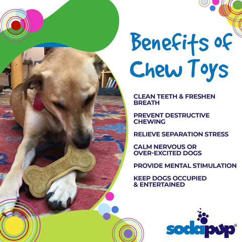 A dog chews a Bone EChew Ultra Durable Nylon Dog Chew Toy by SodaPup on a rug. Text highlights durable dog toy benefits: cleans teeth, prevents unwanted chewing, relieves stress, calms dogs, stimulates, and entertains. SodaPup logo in bottom right.