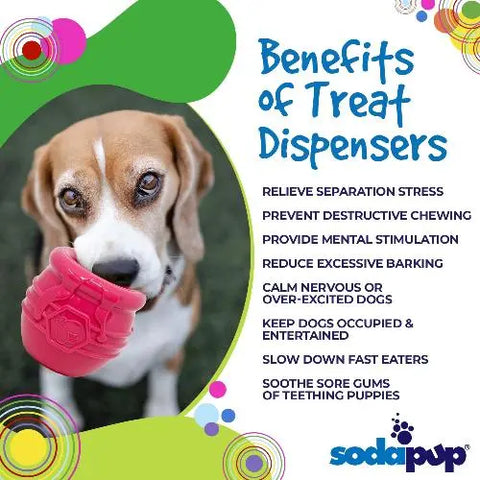 A beagle holds the Honey Pot Durable PUP-X Rubber ECup Treat Dispenser & Enrichment Toy by SodaPup, designed for stress relief, mental stimulation, and slowing fast eaters. The SodaPup logo appears at the bottom right.