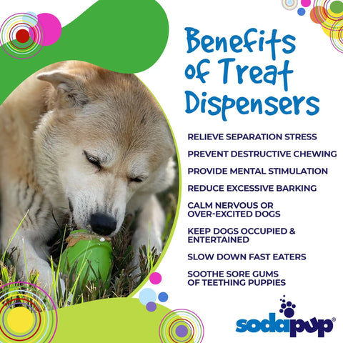 A dog chews the SodaPup Gnome Durable PUP-X Rubber EDispenser Chew Toy & Treat Dispenser on grass. Text nearby highlights stress relief, chewing prevention, mental stimulation, less barking, and gum soothing in a playful scene.