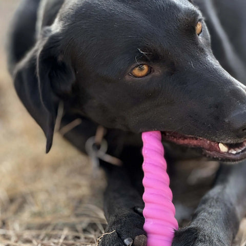 Durable Unicorn Nylon Dog Chew Toy 7 Inch – Safe Super Chewer Toy | Made in USA by SodaPup SodaPup  Nylon Dog Toys