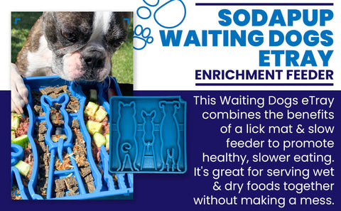 Waiting Dogs Design Enrichment Slow Feeder Tray for Dogs – 8 Inch | Made in USA SodaPup  ETRAY