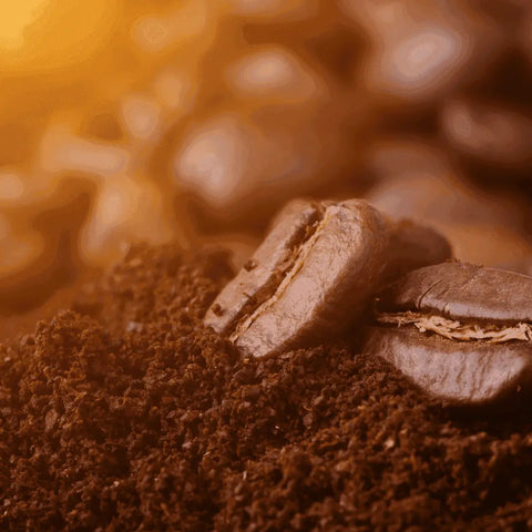 EVENING EMBER | DECAF ESPRESSO Wildflower Coffee Company  Coffee 27.00 Auto Ground [Coarse]