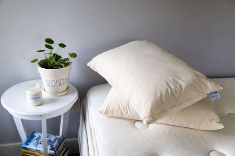 Eco-Friendly Down Alternative Pillow – Hypoallergenic & USA-Made with Recycled Fill by American Blossom Linens American Blossom Linens  Pillows & Pillowcases
