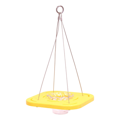 Eco-Friendly Oriole Bird Feeder – Recycled Poly Lumber Jelly Cup Feeder | Made in USA Amish Toy Box 