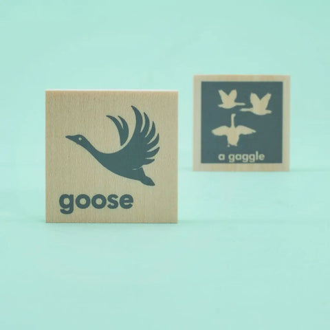 Educational Animal Collective Nouns Flash Cards – 64 Wooden Chips 1.75 Inch – Uncle Goose | Made in USA Uncle Goose  Educational Chips