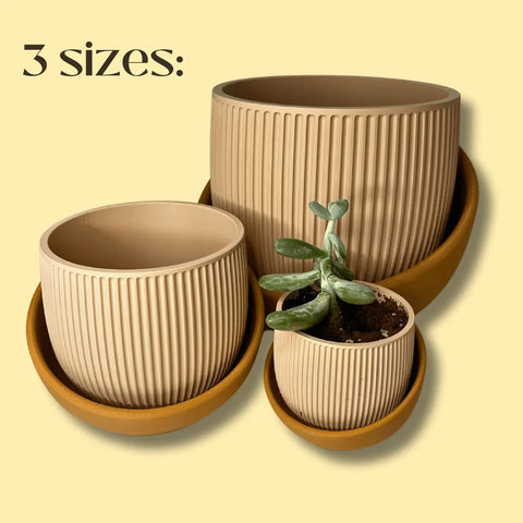 Three beige Eero Planters by Chatelet Manufacturing, each with a matching saucer, are shown in small, medium, and large sizes. The smallest eco-friendly pot holds a succulent. Text reads: 3 sizes on a light yellow background. Made in USA.