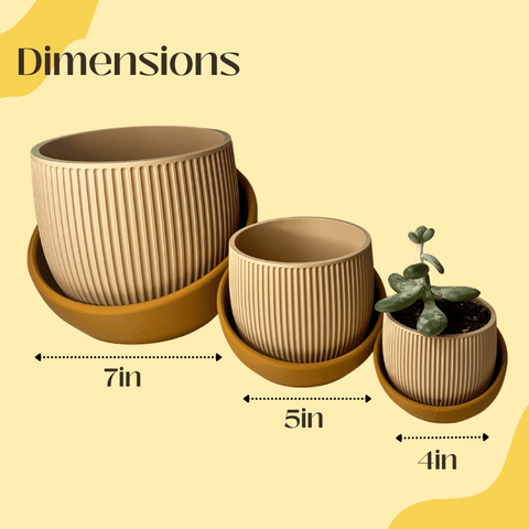 Eero Indoor Planter With Drip Tray – Modern Eco-Friendly Potting Solution | 3 Sizes | Made in USA Chatelet Manufacturing 