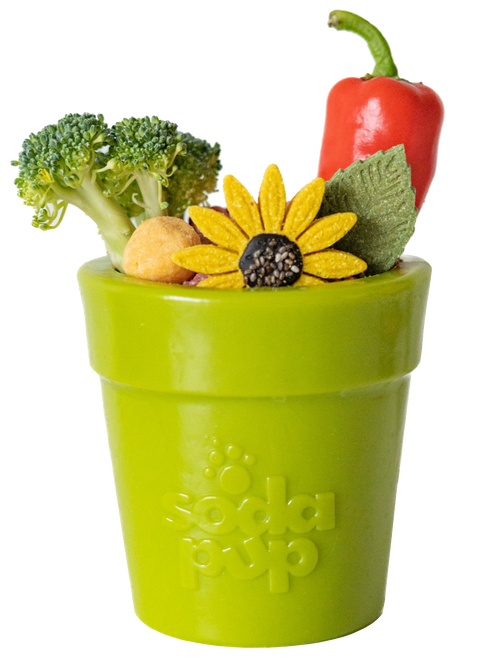 Enrichment Starter Pack SodaPup  Enrichment Dog Toys