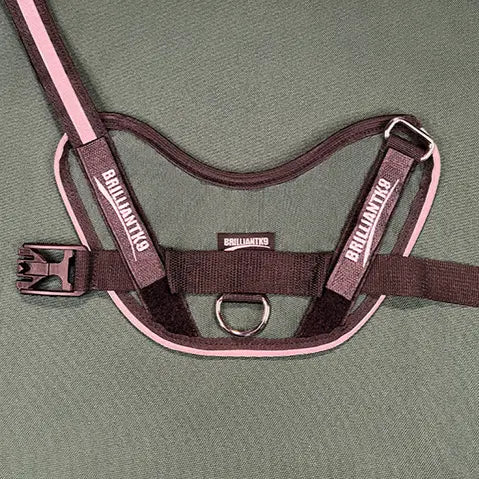 A black and pink BrilliantK9 Ergonomic Dog Harness for small dogs (10–20 lbs) is laid flat on a green surface, displaying its straps, buckle, central ring, and BrilliantK9 brand labels on two sections.