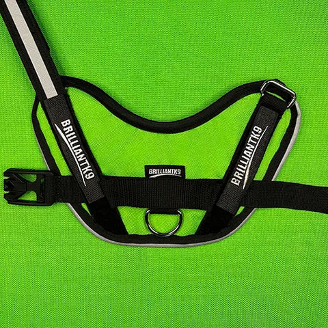 A black and gray BrilliantK9 Ergonomic Dog Harness for small dogs (10–20 lbs) is displayed on a bright green fabric background, highlighting its straps, buckle, and central metal ring.