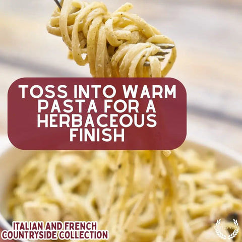 European Countryside Spice Blend Set – 3 Handcrafted Tins | Made in USA Gustus Vitae  Collections & Gift Sets