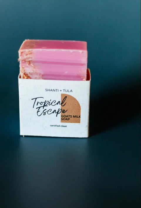 A pink Exfoliating Goat’s Milk Soap Bar with Pumice by Shanti + Tula, moisturizing and handcrafted in Utah, is shown in a white box against a dark blue background.