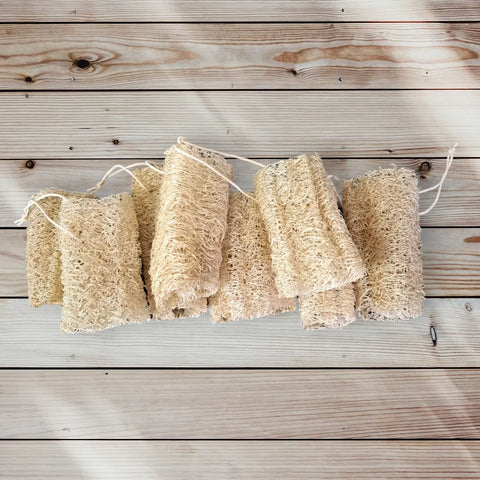 Exfoliating Loofah Sponges Frances Farm & Craft 