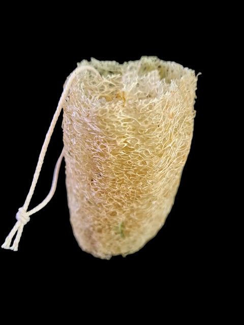 Exfoliating Loofah Sponges Frances Farm & Craft 