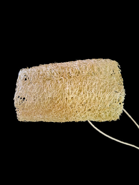 Exfoliating Loofah Sponges Frances Farm & Craft 