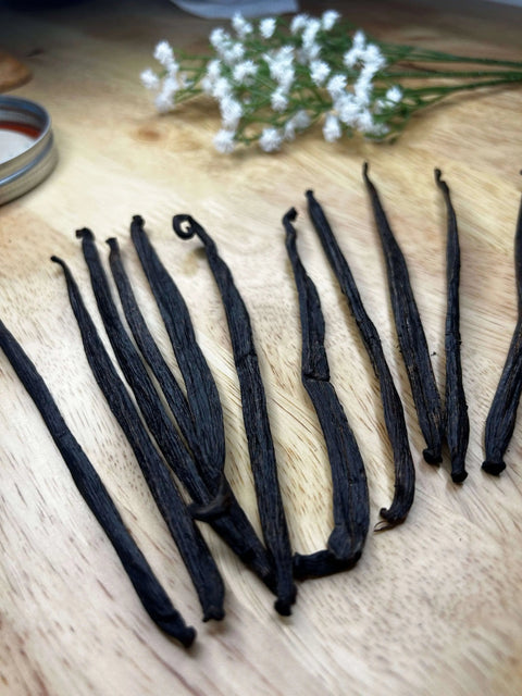 Extra Hydrating Body Butter Born to be Free  Body Butter