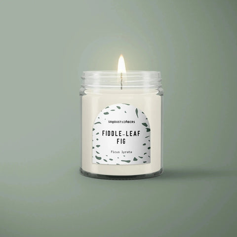 The Sawdust & Embers Fiddle-Leaf Fig - Signature Candle, in a clear glass jar with minimalist green leaf accents, sits on a smooth light green background, delivering a premium home fragrance experience.