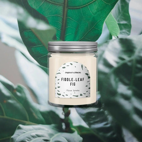 A Fiddle-Leaf Fig - Signature Candle by Sawdust & Embers is set before lush green leaves. Its label displays a botanical design with the scent “Ficus lyrata,” perfect for bringing a natural touch to your home décor.