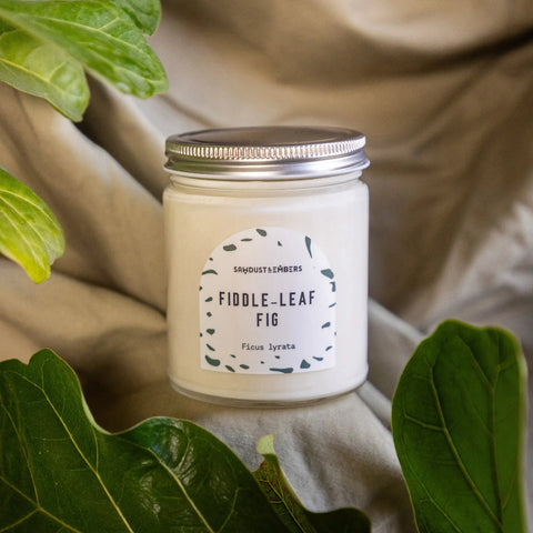 The Sawdust & Embers Fiddle-Leaf Fig - Signature Candle features a white jar with silver lid and minimalist label, offering a botanical touch to any space. Shown on beige fabric, its surrounded by green fiddle-leaf fig leaves.