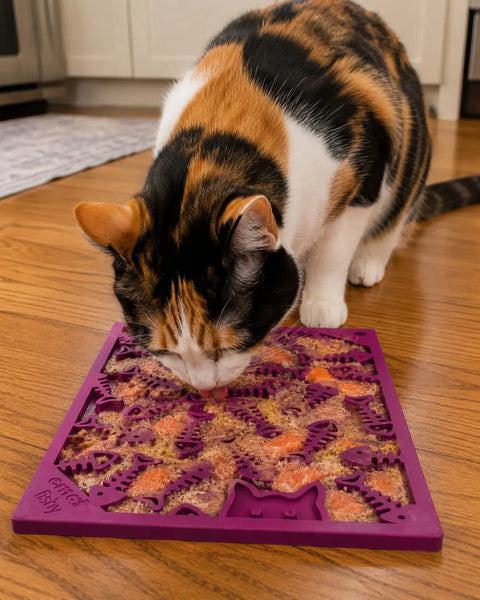 Fishy Design Enrichment Lick Mat – Small 8x6 Inch – Pet Feeding Aid | Made in USA SodaPup  EMAT