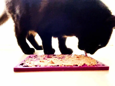 A black cat stands on a light surface, licking food from a purple SodaPup Fishy Design EMat Enrichment Lick Mat - Small. The background appears bright and overexposed.