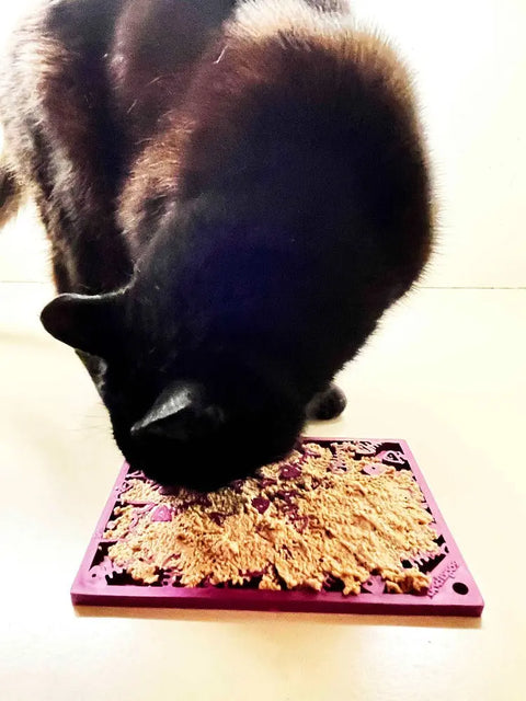 A black cat eats from a purple SodaPup Fishy Design EMat Enrichment Lick Mat - Small, placed on a light surface, focusing on food spread across the textured mat.