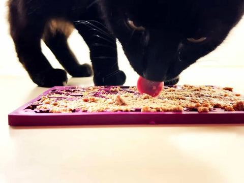 A black cat licks food from a purple SodaPup Fishy Design EMat Enrichment Lick Mat - Small placed on a light-colored surface, its face close to the mat with its tongue visible.