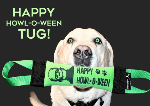 A yellow lab holds the Bulletproof Pet Products Inc Frankenstein Halloween Fire Hose Training Tug in its mouth, set against a dark background. The toy and the dog’s eyes glow green, making this durable tug perfect for heavy chewers.