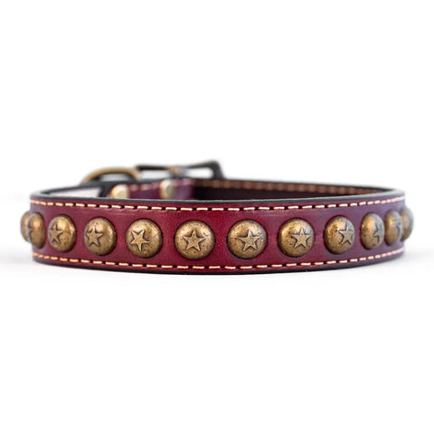 Full Grain Heirloom Star Dog Collar – Rustic Handcrafted Leather with Antique Brass Studs | Made in USA Auburn Leathercrafters  item