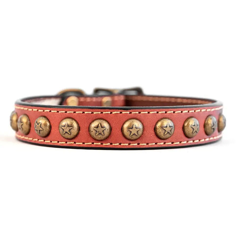 Full Grain Heirloom Star Dog Collar – Rustic Handcrafted Leather with Antique Brass Studs | Made in USA Auburn Leathercrafters  item