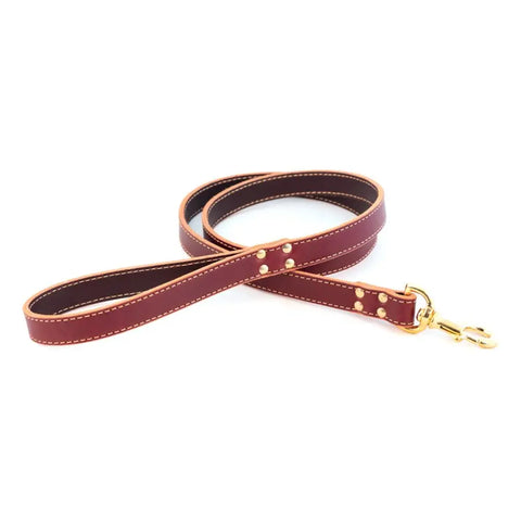 Full Grain Leather Dog Leash 6 Ft – Stitched Bridle Leather with Brass Hardware | Made in USA by Auburn Leathercrafters Auburn Leathercrafters  item