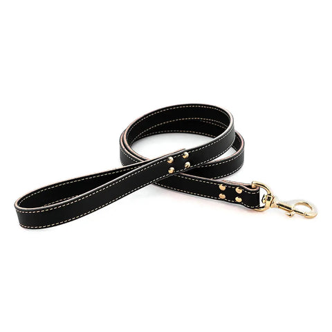 Full Grain Leather Dog Leash 6 Ft – Stitched Bridle Leather with Brass Hardware | Made in USA by Auburn Leathercrafters Auburn Leathercrafters  item