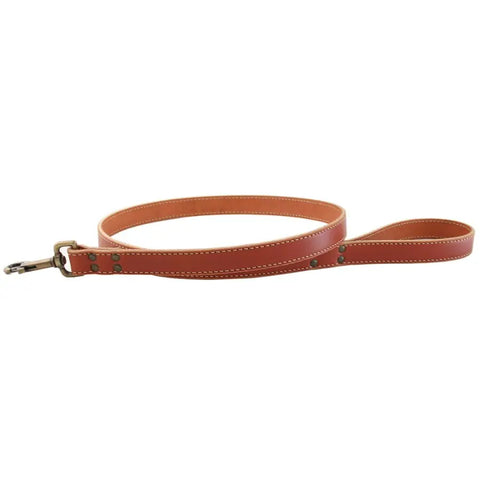 Full Grain Leather Dog Leash 6 Ft – Stitched Bridle Leather with Brass Hardware | Made in USA by Auburn Leathercrafters Auburn Leathercrafters  item