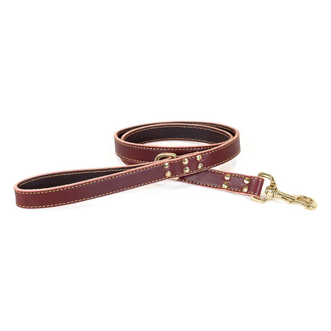Full Grain Leather Dog Leash 6 Ft – Stitched Bridle Leather with Brass Hardware | Made in USA by Auburn Leathercrafters Auburn Leathercrafters  item